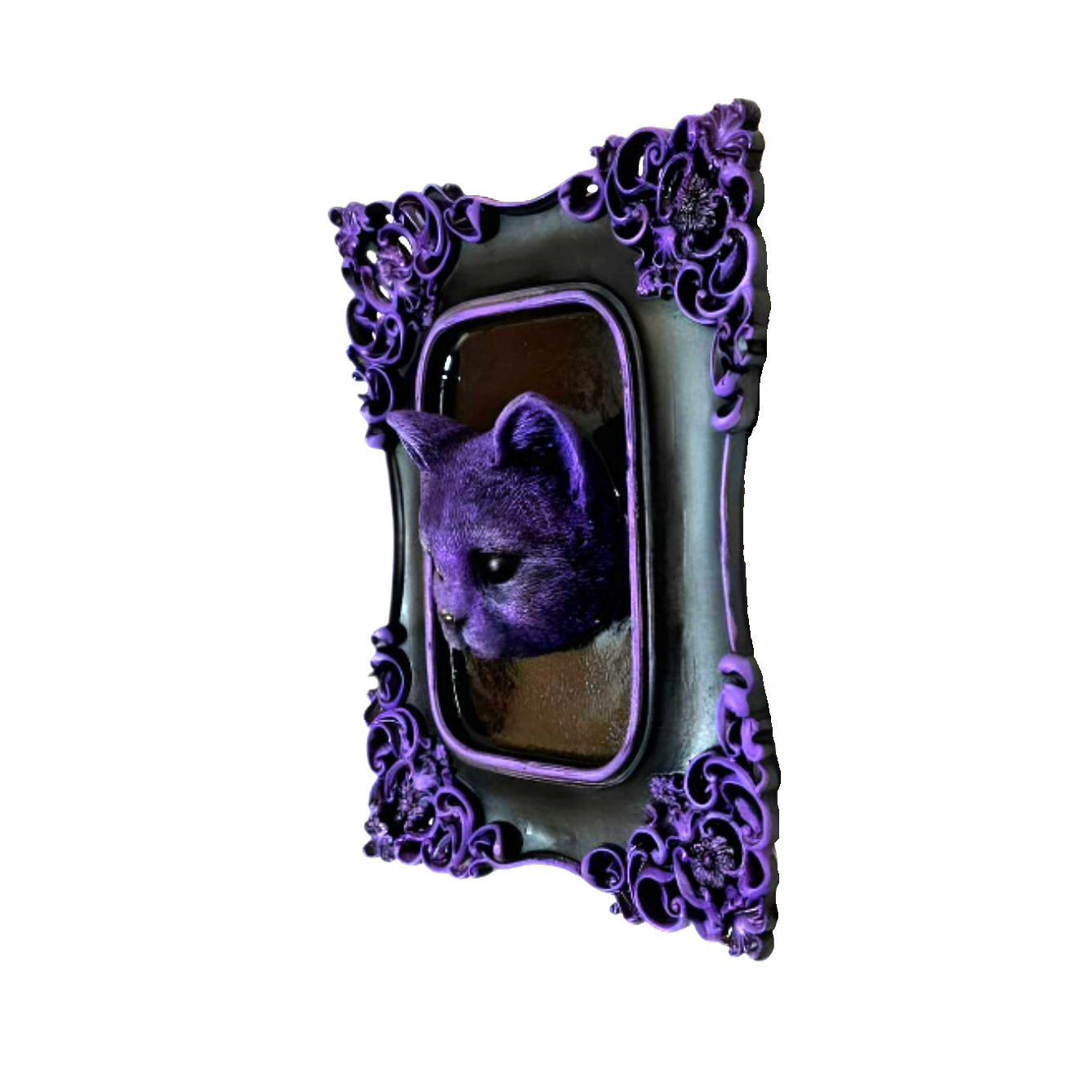 Gato - El Guardián de la Medianoche