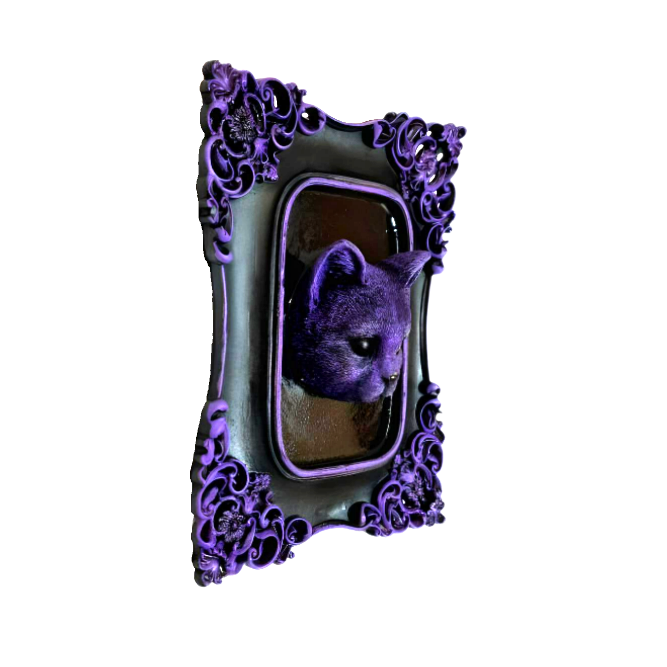 Gato - El Guardián de la Medianoche